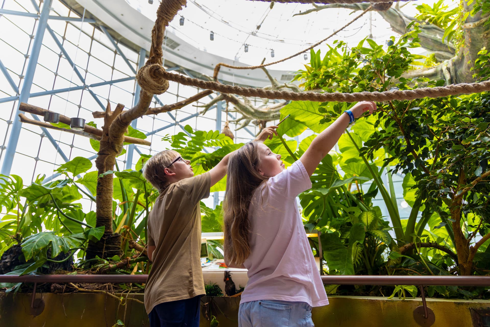 Amazing Dubai Pass - image 34